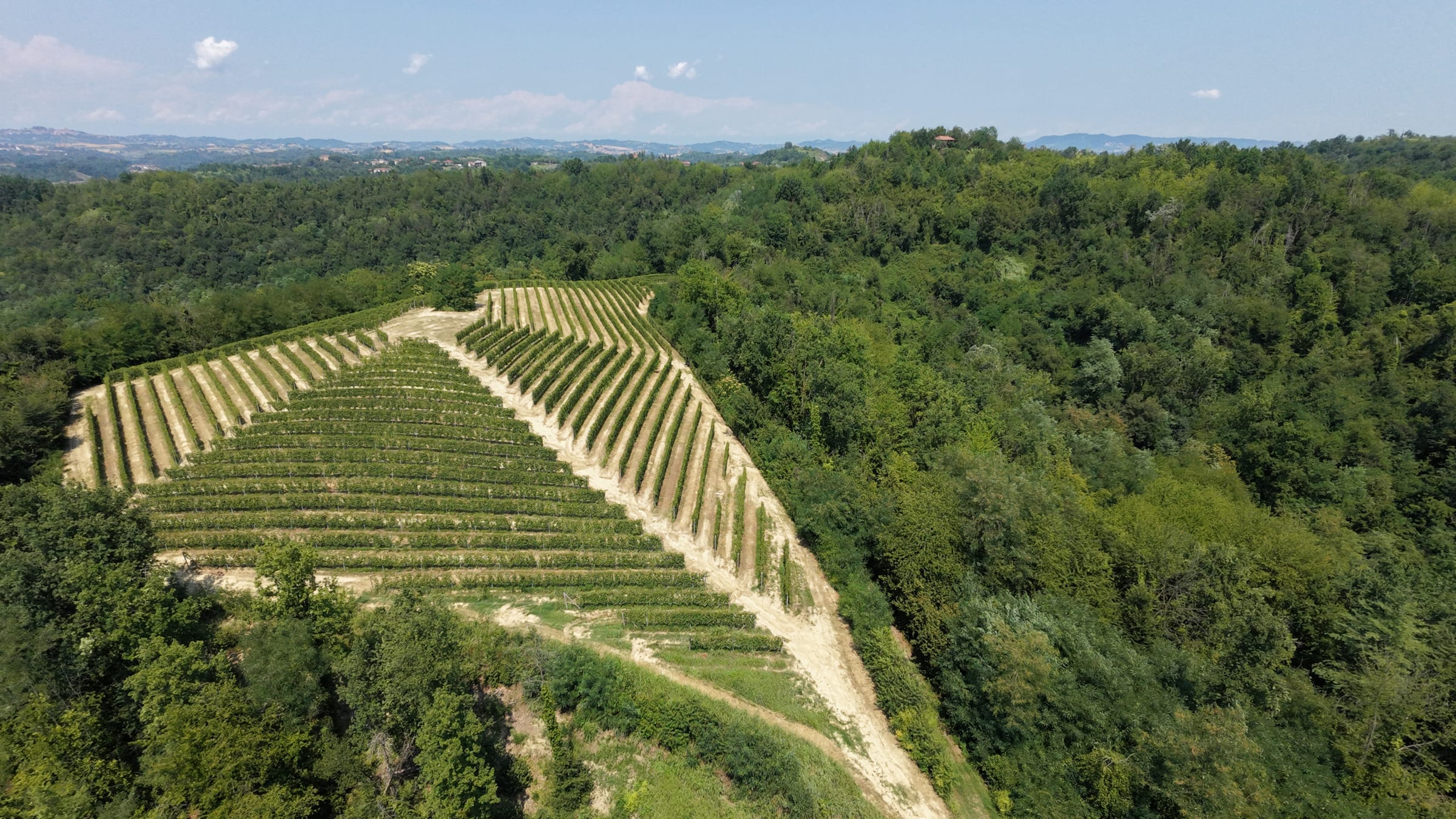 Aerial view of Bric Del Vento vineyards – Monferrato, Piemonte