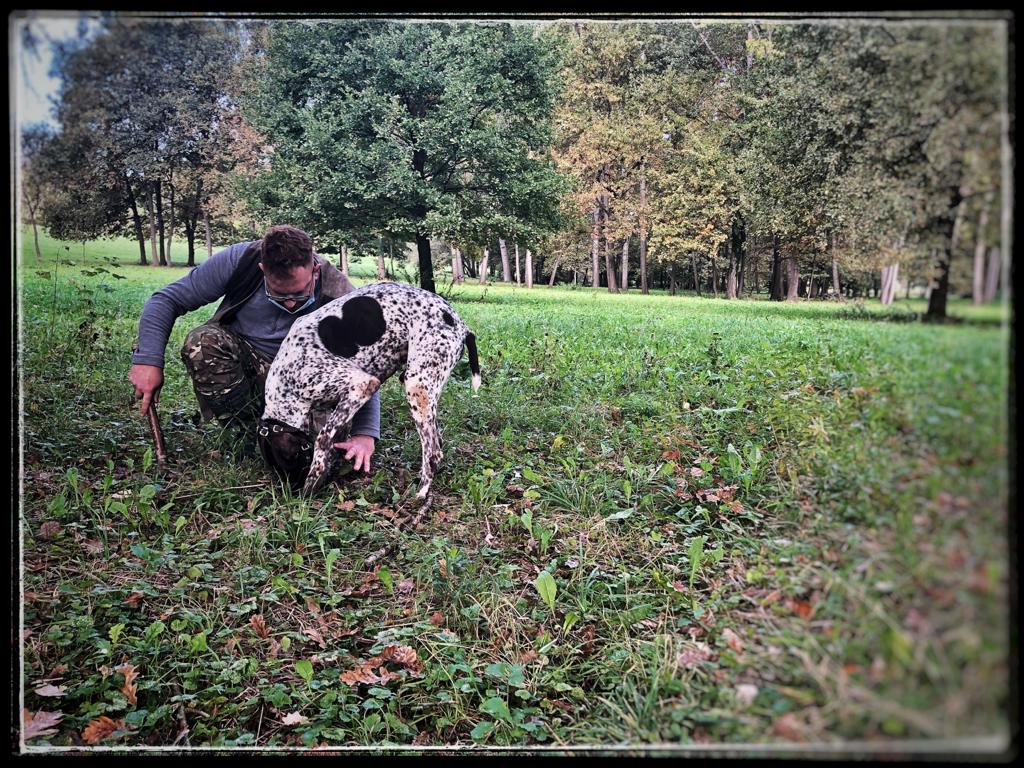 Truffle hunting in the Monferrato woods